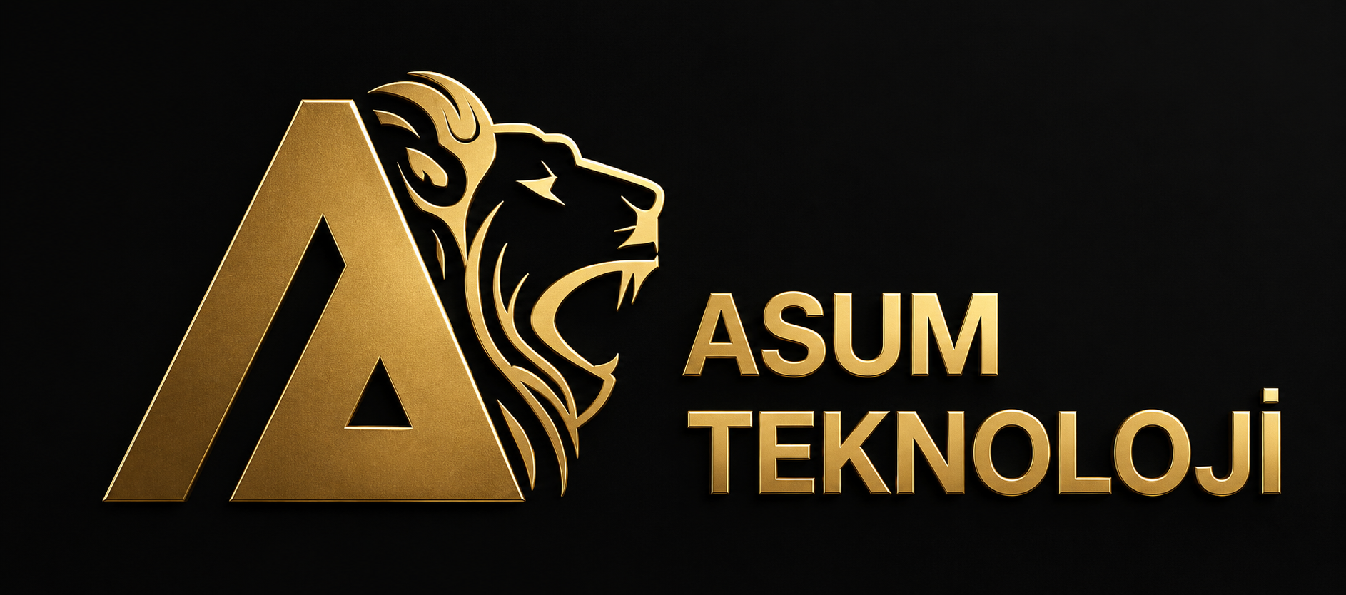 ASUM TEKNOLOJİ