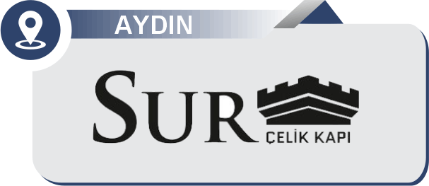 Bayi - Aydın