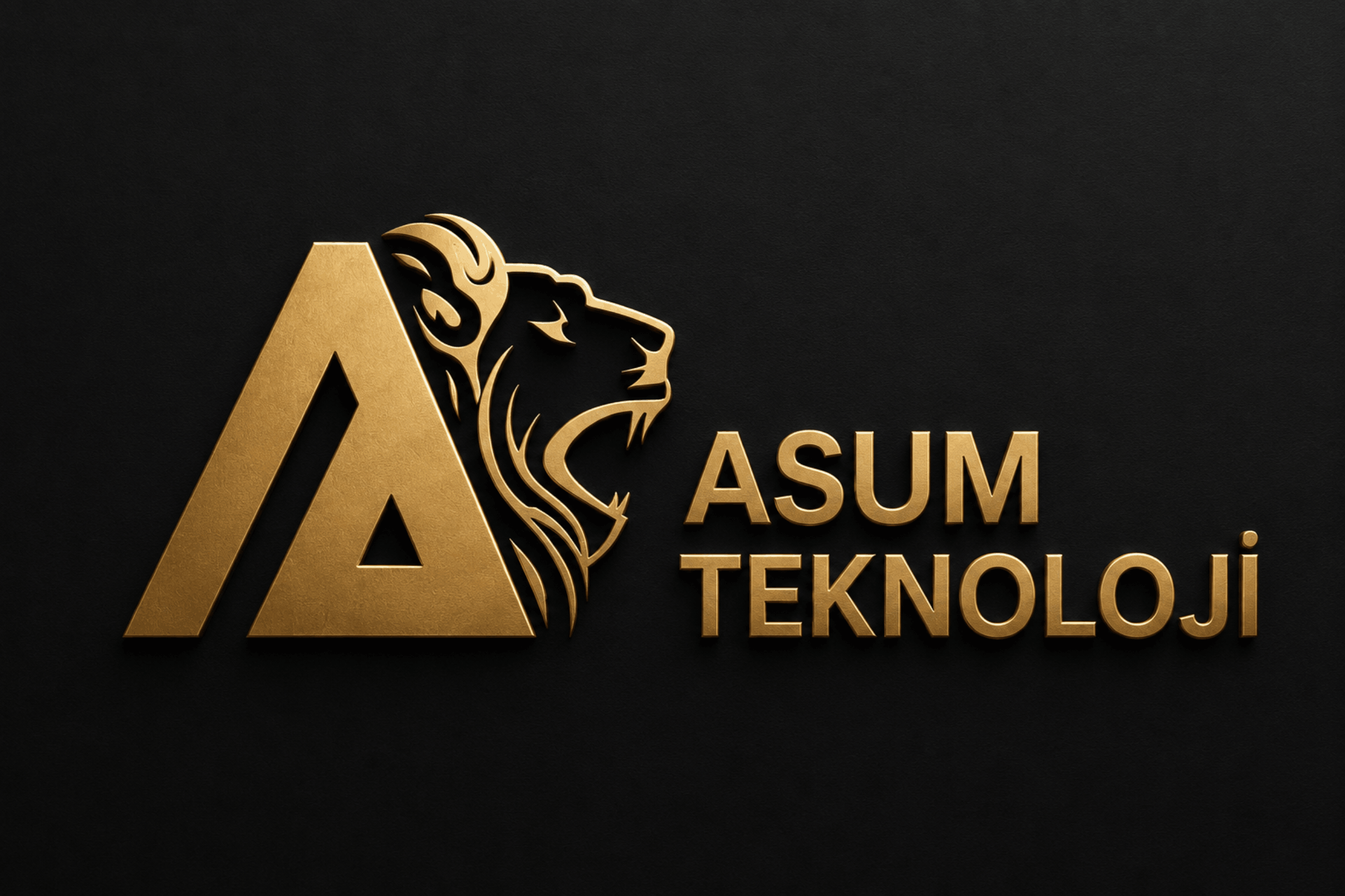 ASUM TEKNOLOJİ logo